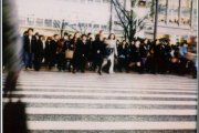 polaroid 66 | 2009